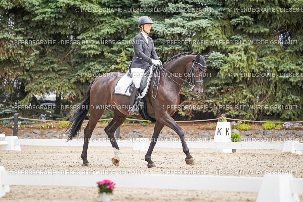 DSC02950 | Pferdegrafie