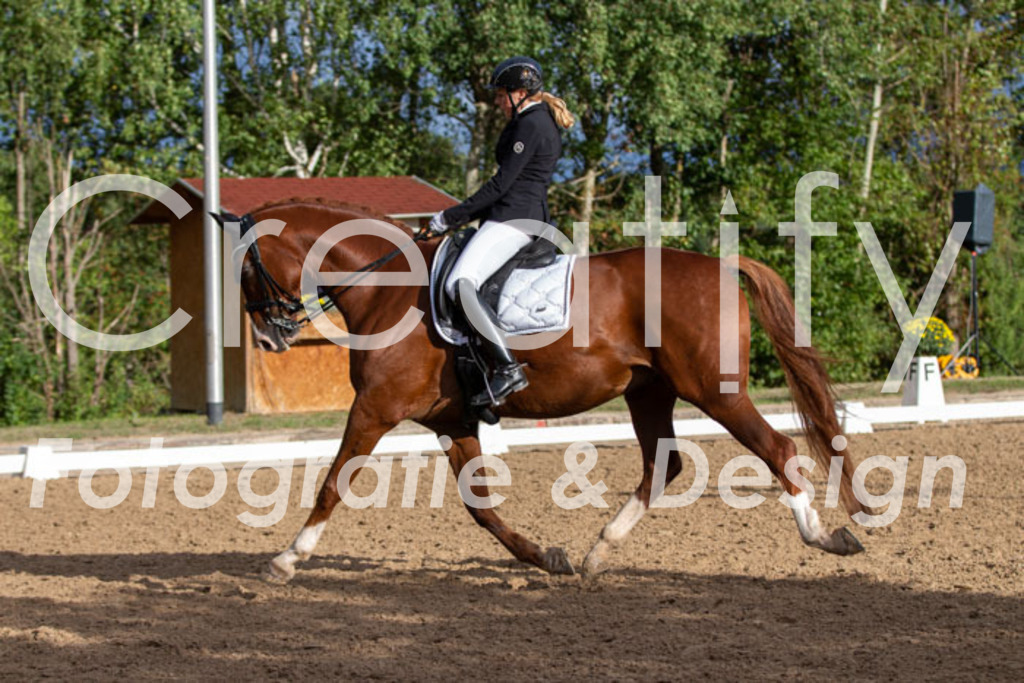 IMG_6138 | Creatify Fotografie