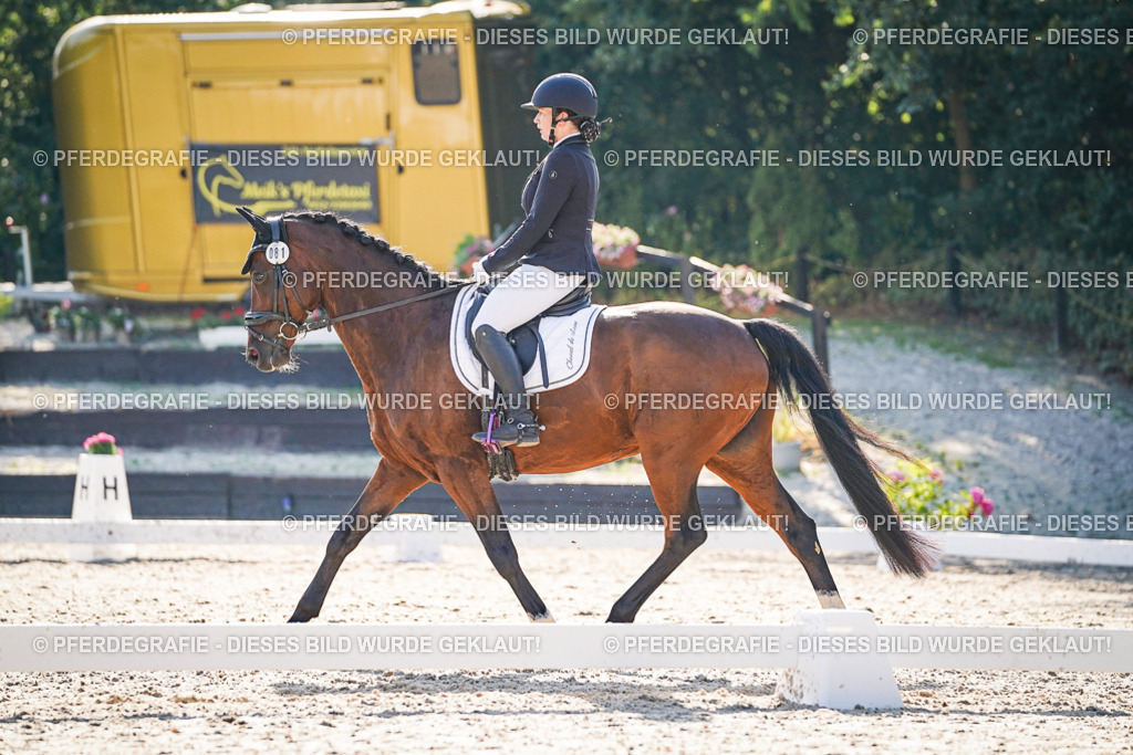 DSC09044 | Pferdegrafie