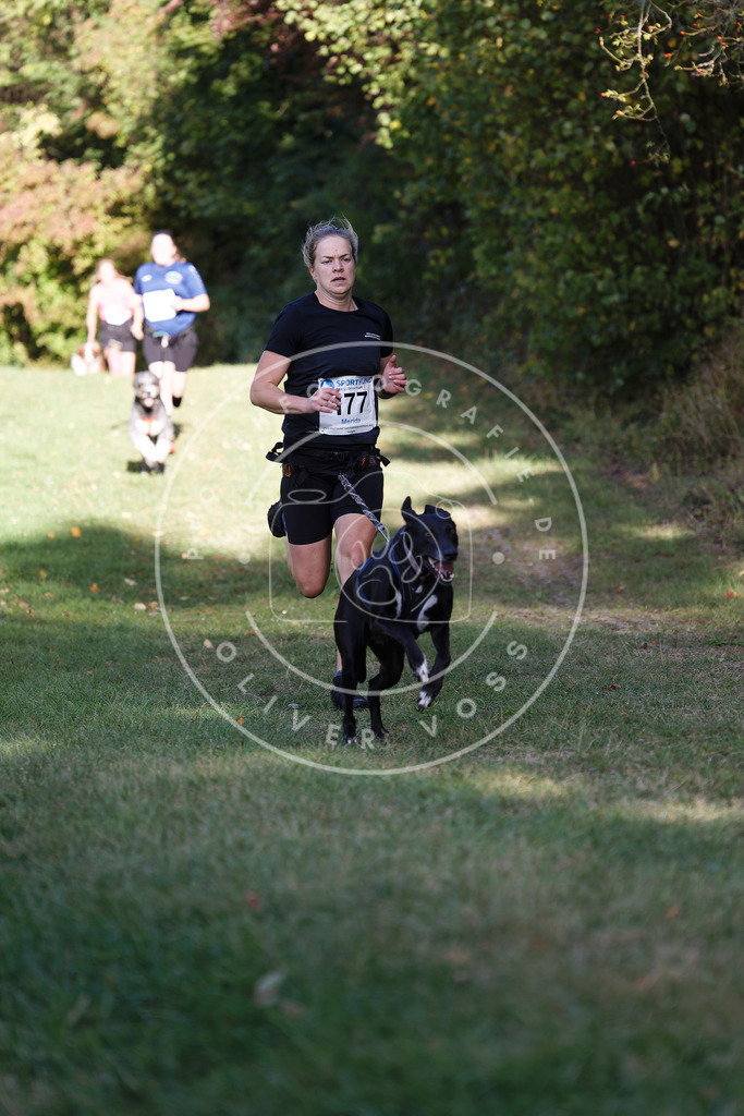 0L8A5517 | Hundefotografie, Tierfotograf, Pfotenfotografie, Fotoshooting Hund, Hunde Portrait, Hundesport, Hundeportraits, Heideshooting, Hunde, Sportfotograf, Hundefotograf, Turnierhundsport, THS,  - Realisiert mit Pictrs.com