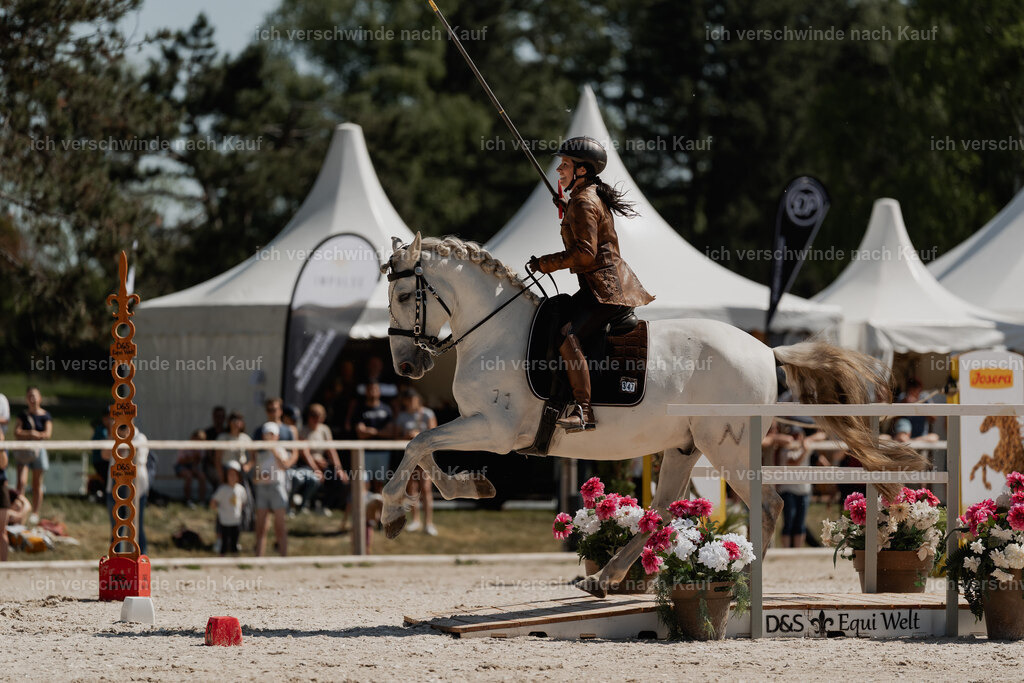 WE_SP_Stoib_347_PI2025_1543 | Pferd International München 2025