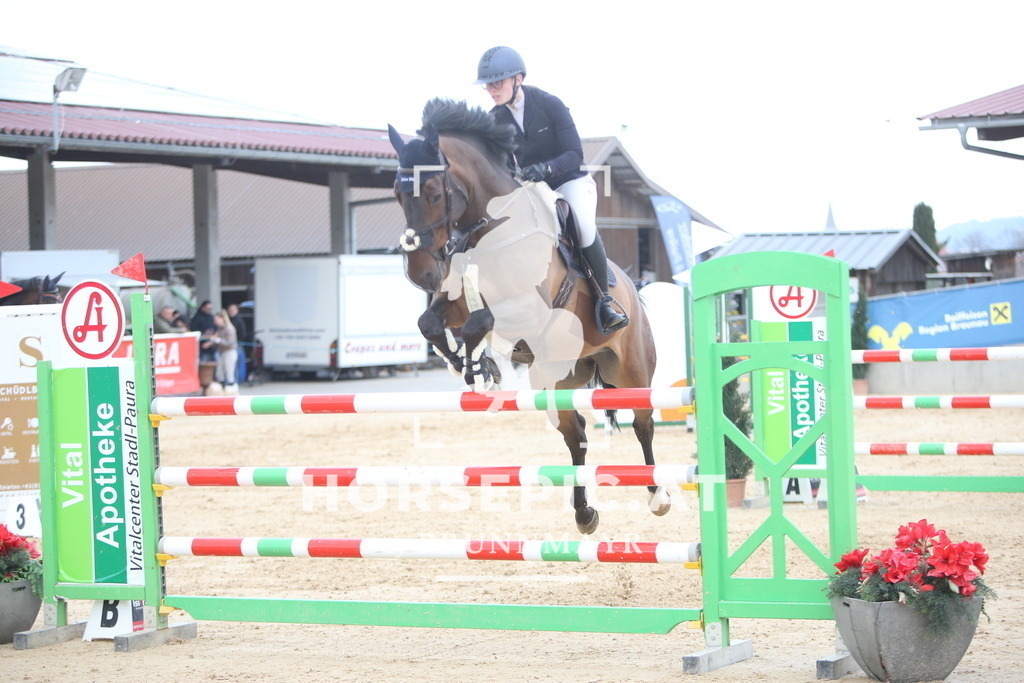 AS8V8183 | Willkommen bei Brunnmayr - Design & Fotografie – Ihrem Spezialisten für Reitturniere und Pferdeveranstaltungen in Oberösterreich, Salzburg und Bayern! Seit über 17 Jahren sind wir leidenschaftlich dabei.