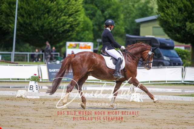 DKP40751 | Turniersportfotografie; Pferdefotografie; Dressurfotografie