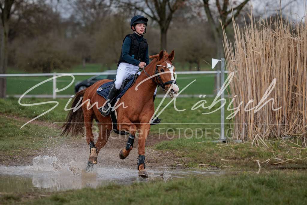 20260329-_3LI4508 | Tierfotografie Pferde, Hunde, Katzen, Haustiere.
Turnierfotografie Reitturniere, Reiten, Springreiten, Dressur in Hanau, dem Main-Kinzig-Kreis und dem Rhein-Main- Gebiet um Frankfurt