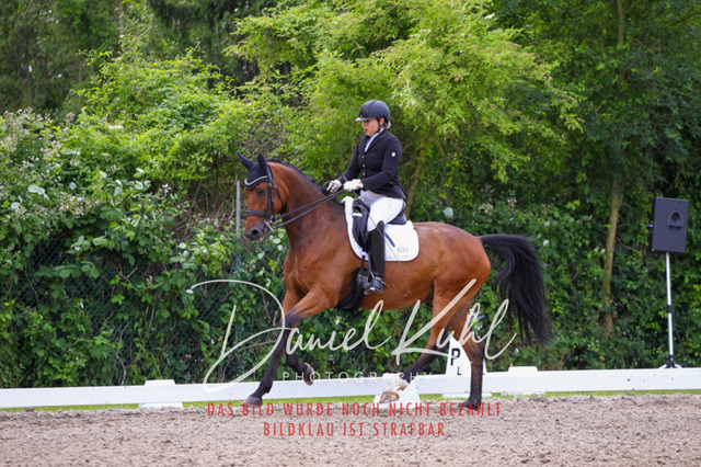 DKP41112 | Turnierfotos kaufen im Webshop von Daniel Kuhl Photography – entdecke professionelle Reitsportfotos aus Turnieren & Events. Hochwertige Turnierbilder online bestellen & sichern. Jetzt Fotos von Reitsportturnieren kaufen!