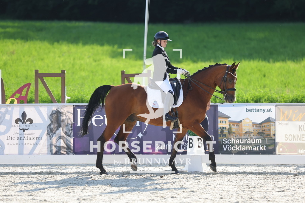 0P6A2964 | Willkommen bei Brunnmayr - Design & Fotografie – Ihrem Spezialisten für Reitturniere und Pferdeveranstaltungen in Oberösterreich, Salzburg und Bayern! Seit über 17 Jahren sind wir leidenschaftlich dabei.