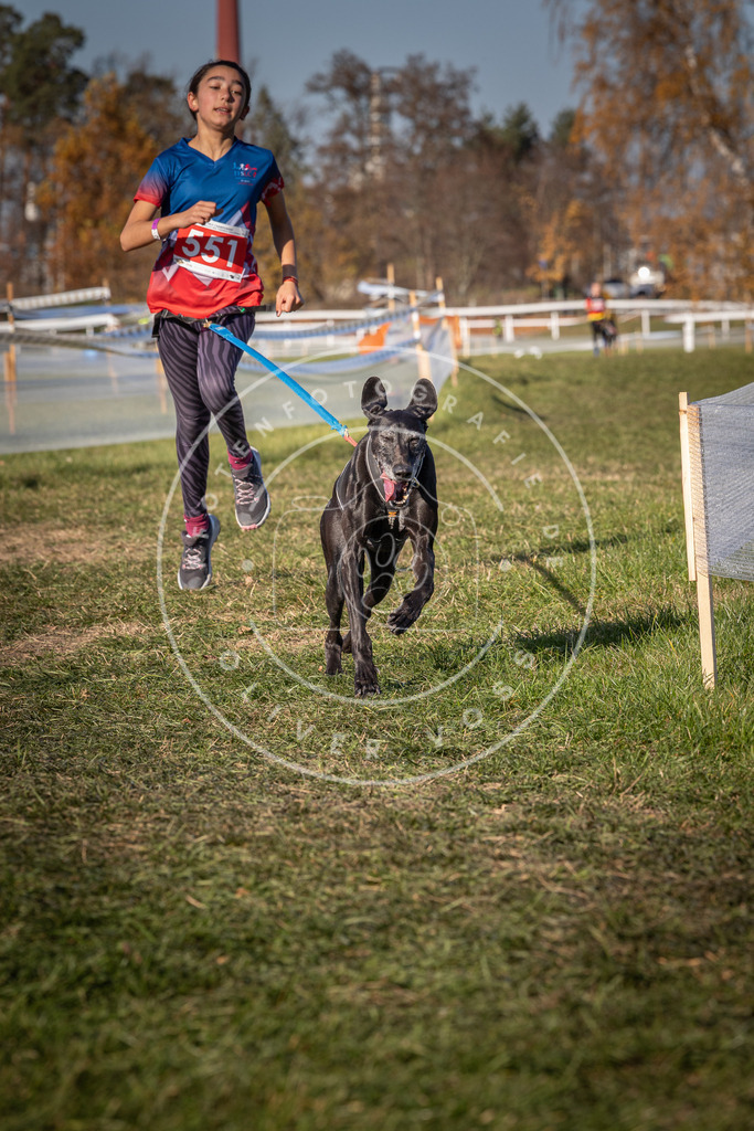 CaniXpix_0L8A7739 | Hundefotografie, Tierfotograf, Pfotenfotografie, Fotoshooting Hund, Hunde Portrait, Hundesport, Hundeportraits, Heideshooting, Hunde, Sportfotograf, Hundefotograf, Turnierhundsport, THS,  - Realisiert mit Pictrs.com