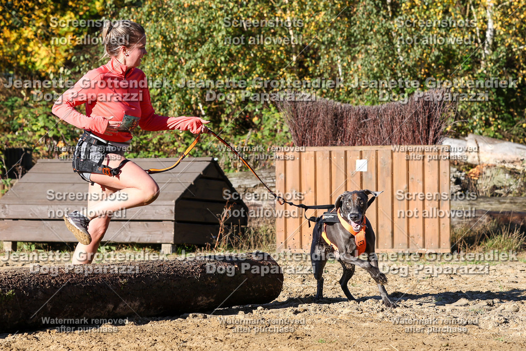 Dog Paparazzi - Strongdog 10-25-1776 | Dog Paparazzi Jeanette Grottendiek Fotografie & Videografie - Realisiert mit Pictrs.com