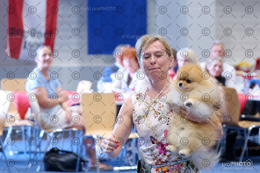 202406_ÖKV-IHA-Tulln24_NZ9_8689 | proPHOTO - Realisiert mit Pictrs.com