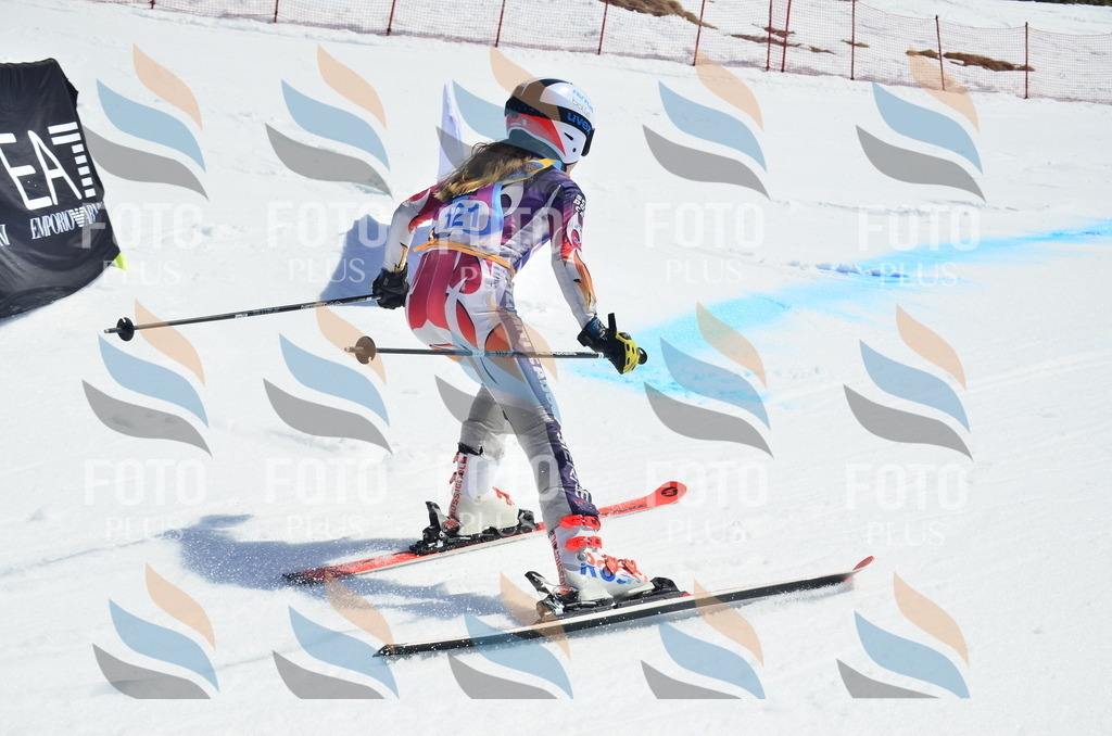 _ELE0743 | holidayphoto