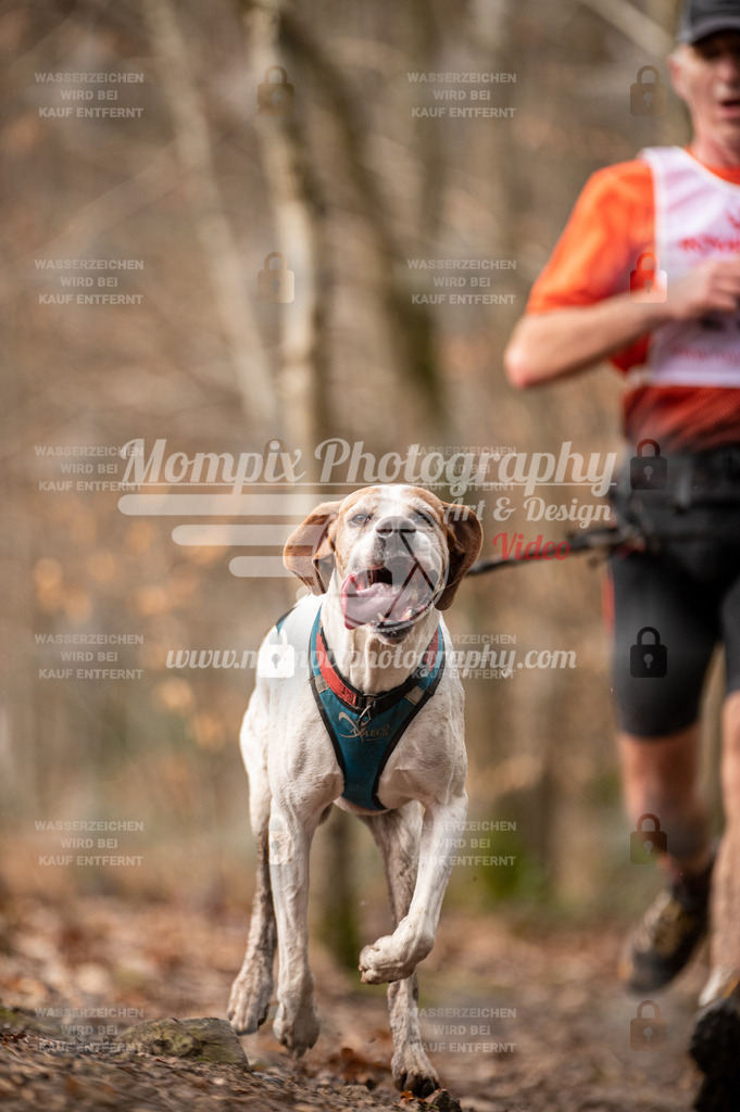 SPA_2023_DIM_CCK-6 | PayLife