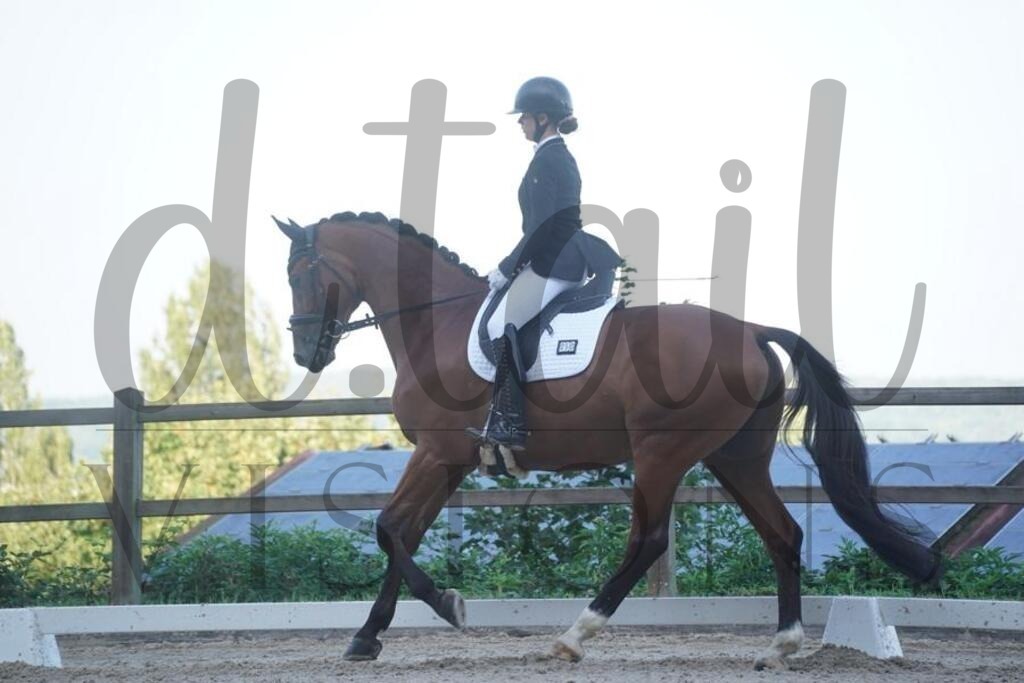 tgbhsonntag (176) | d.tail Visions - Shop - Realisiert mit Pictrs.com