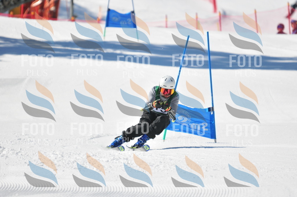 C3394 | holidayphoto