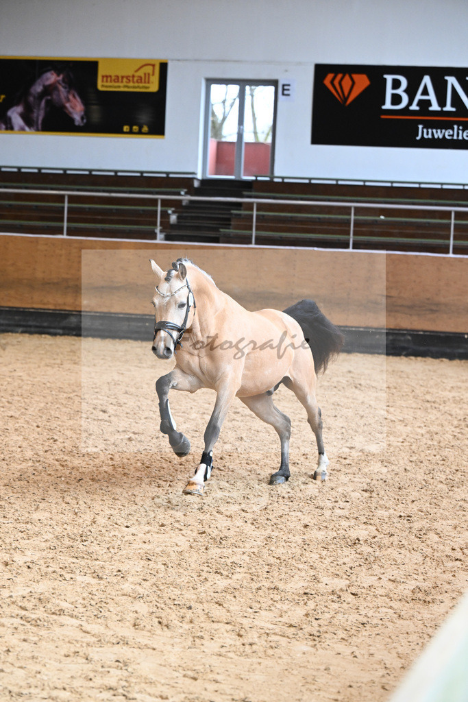 Kat-Nr. 100 v. Dallmayr K_Puerstinger_6240227 | hf-fotografie - Realisiert mit Pictrs.com