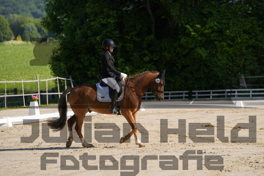 DSC02841 | Julian Held Fotografie - Realisiert mit Pictrs.com