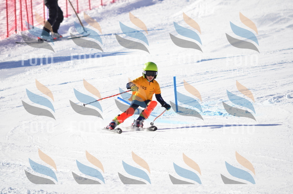 C6217 | holidayphoto