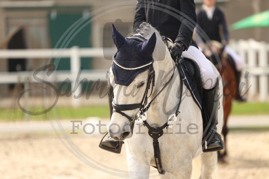 994A7645 | sabrinanicolaifotografie - Realisiert mit Pictrs.com