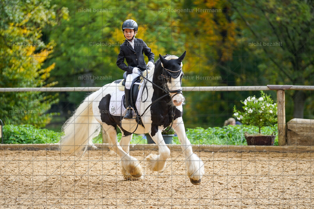 20221008-FAH01355 | Diessen am Ammersee, 2022, Dressur- und Springturnier, Reitsportbilder, Turnierfotografen Bayern, Pferdefotografen, Fotoagentur Herrmann, Turnierbilder