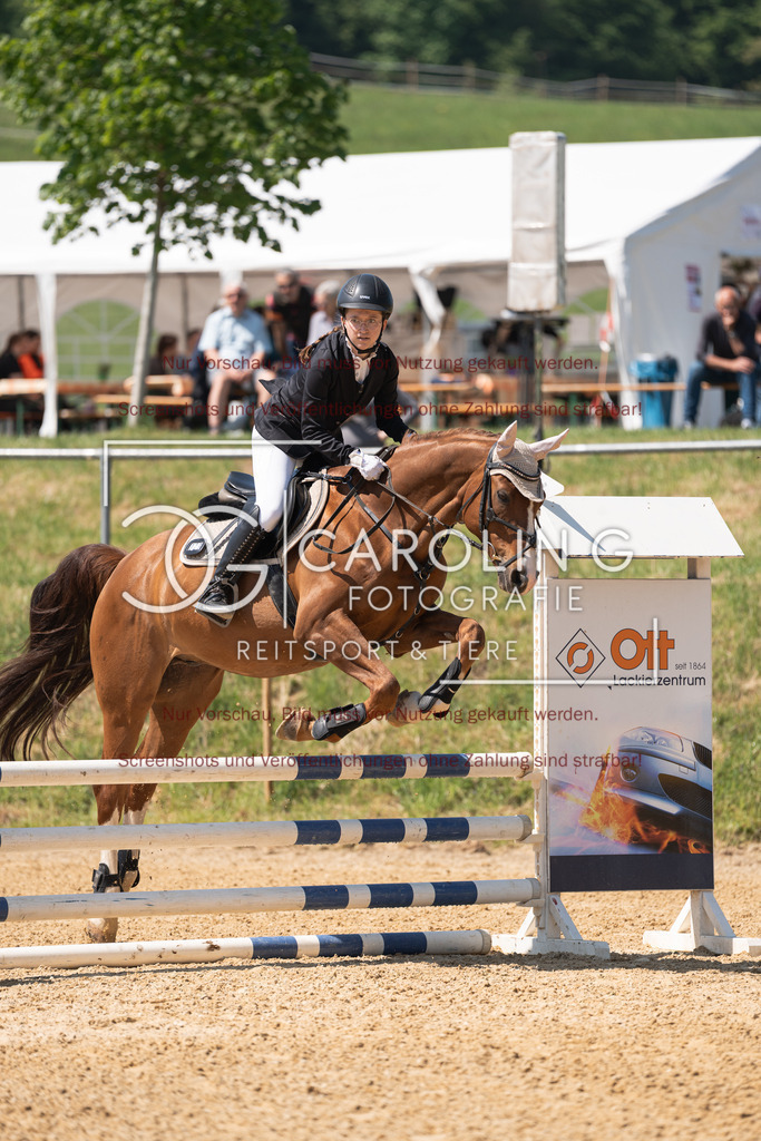 DSC04329 | Springturnier_Ehingen_Mai_2026, Hanna_Zivkovic, Belissimos_Pleasure_T