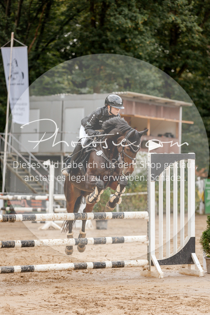 3I6A6616 | Stimmungsvolle Portraits und Reitsportfotografie im Ruhrgebiet und im Münsterland.

Pferdefotografie, Hundefotografie, Tierfotografie, Reportagen, Portraits von Tier und Mensch, Turnierfotografie in Bochum, Recklinghausen, Marl, Haltern am See, Dülmen.. - Realisiert mit Pictrs.com