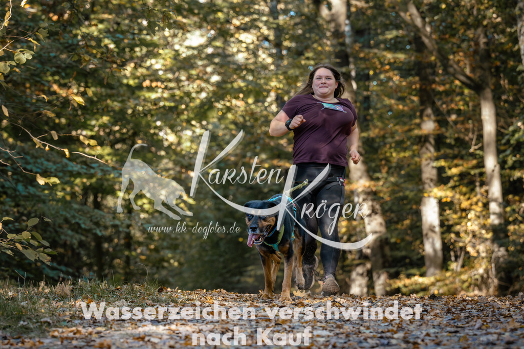 1105_ZZ91549 | kk-dogfotos