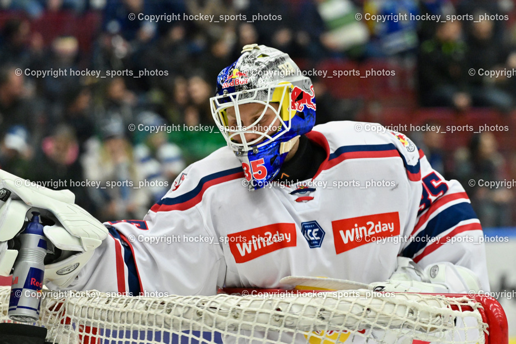 EC IDM WÄRMEPUMPEN VSV vs. EC Red Bull Salzburg | #35 TOLVANEN ATTE EC Redbull Salzburg, EC IDM WÄRMEPUMPEN VSV vs. EC Red Bull Salzburg, EC IDM WÄRMEPUMPEN VSV vs. EC Red Bull Salzburg am 17.01.2025 in Villach (Stadthalle Villach), Austria, (Photo by Bernd Stefan)