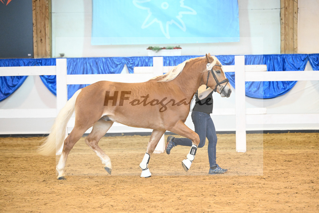 Kat-Nr. 13 nn v. Alfred_Hoegner_60220184 | hf-fotografie - Realisiert mit Pictrs.com