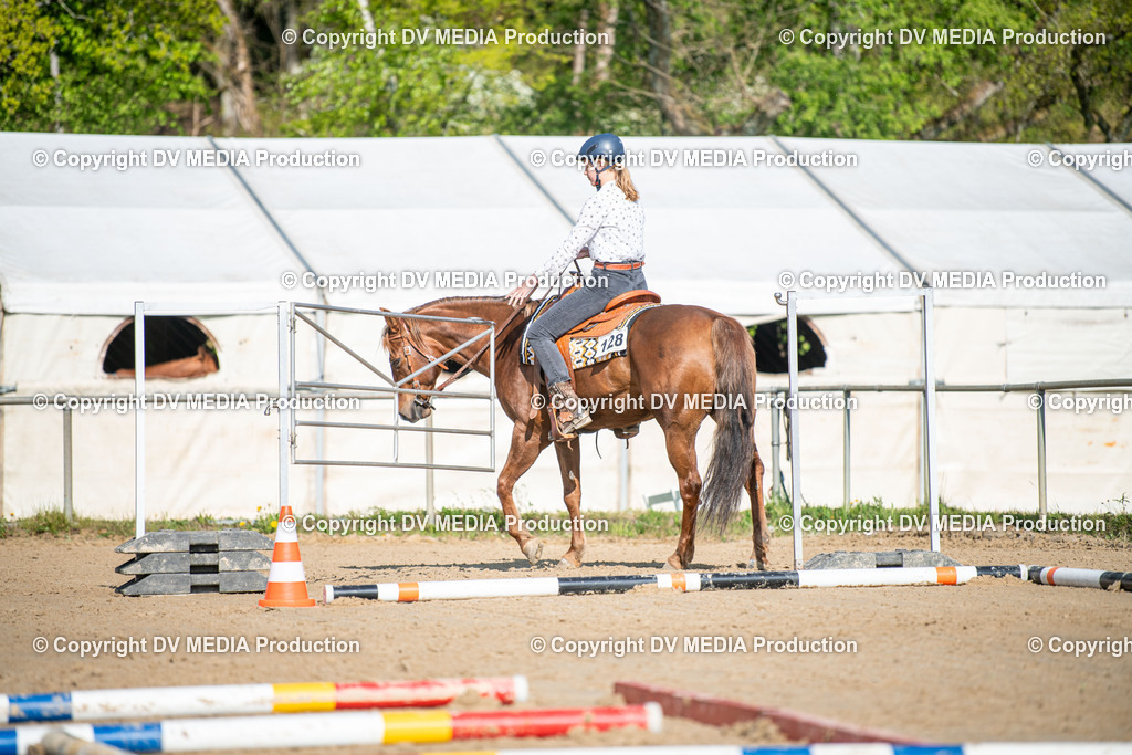 Heiligenwald Tag 2-516 | dv-media-shop - Realisiert mit Pictrs.com