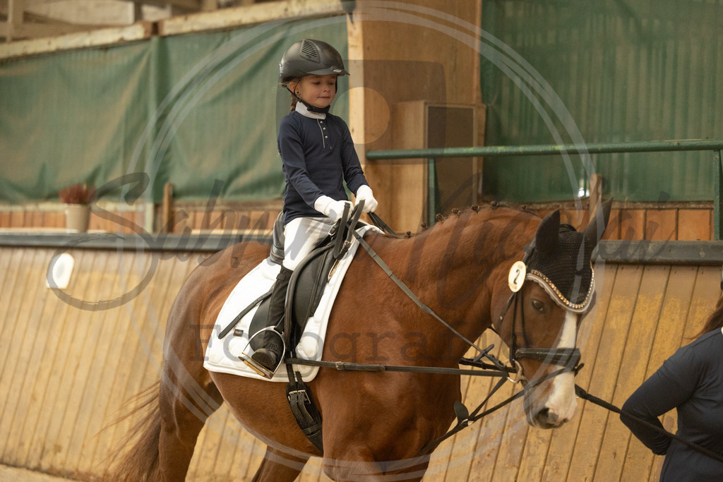 994A6006 | sabrinanicolaifotografie - Realisiert mit Pictrs.com