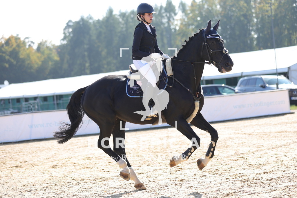 0P6A8028 | Willkommen bei Brunnmayr - Design & Fotografie – Ihrem Spezialisten für Reitturniere und Pferdeveranstaltungen in Oberösterreich, Salzburg und Bayern! Seit über 17 Jahren sind wir leidenschaftlich dabei.