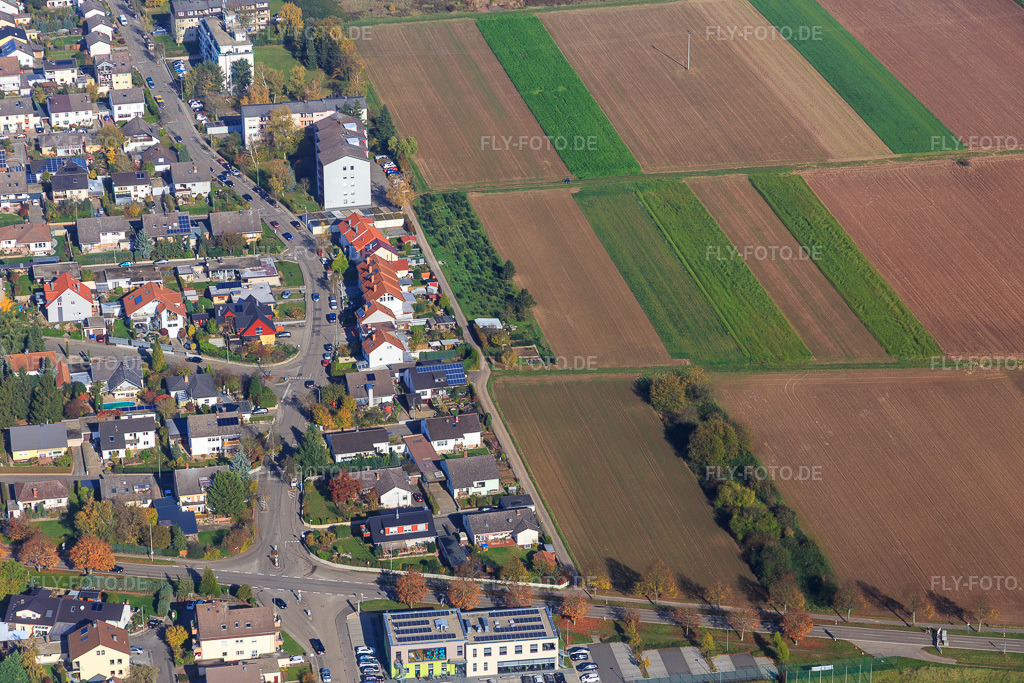 Luftbild: Birkenallee in Offenbach an der Queich im Bundesland Rheinland-Pfalz in Deutschland. Foto: IMG_104329.jpg vom 31.10.2017 durch Werner Riehm/FLY-FOTO.de