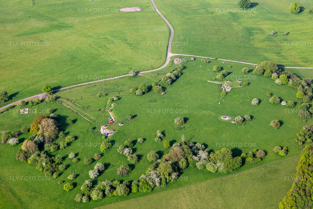Aerial view: Sheep graze among old bunker ruins. in Achen in the state Moselle, France. – Photo: IMG_140685.jpg taken on 05/01/2024 by Werner Riehm/FLY-FOTO.com – Resolution of the original: 5253 x 3502 px