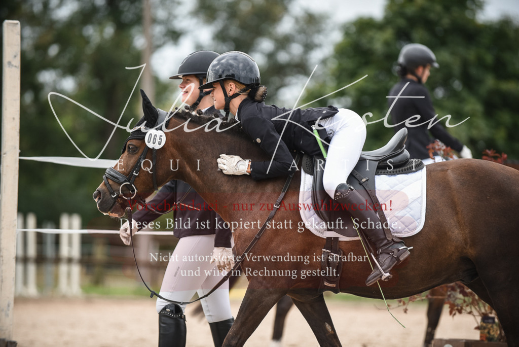 DSC_8193 | Pferde- und Turnierfotografie in Westsachsen. Pferdeportraits, Auftragszeichnungen und intuitive Kunst.