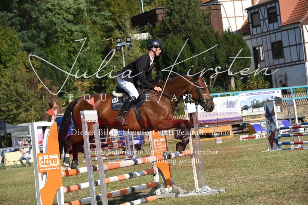 DSC_5355 | Pferde- und Turnierfotografie in Westsachsen. Pferdeportraits, Auftragszeichnungen und intuitive Kunst.