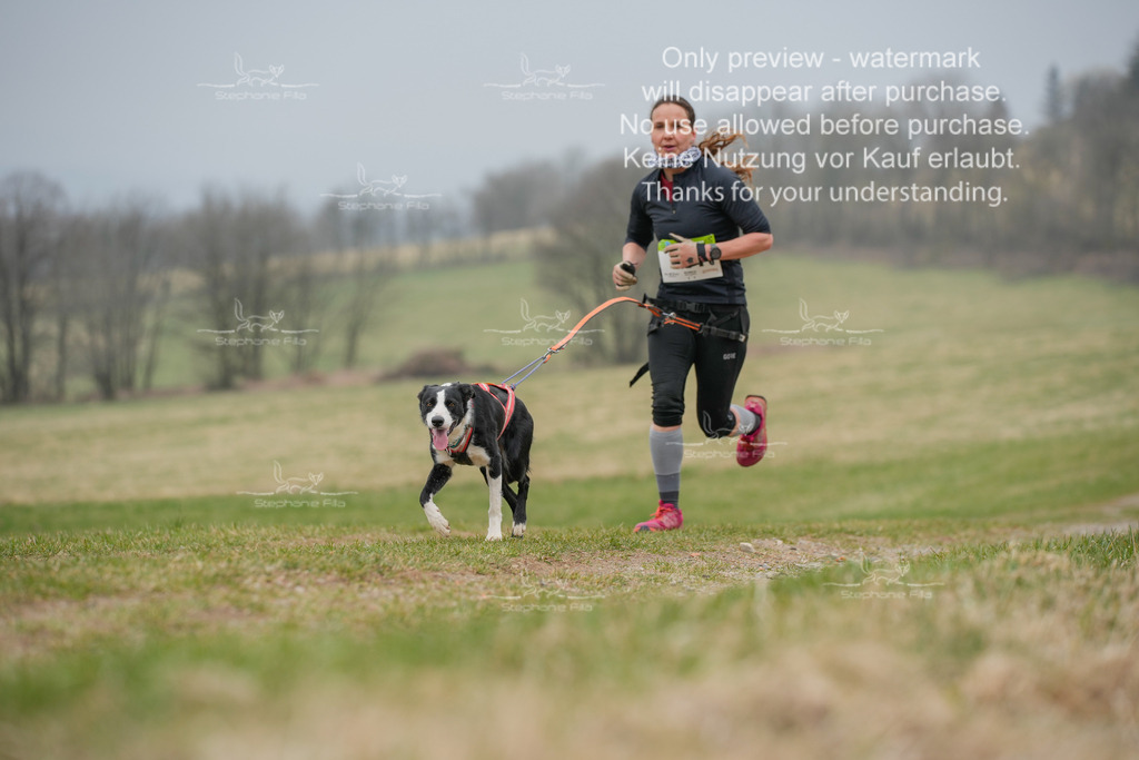 Canixlong-31 | stephaniefillaphotographie - Realisiert mit Pictrs.com