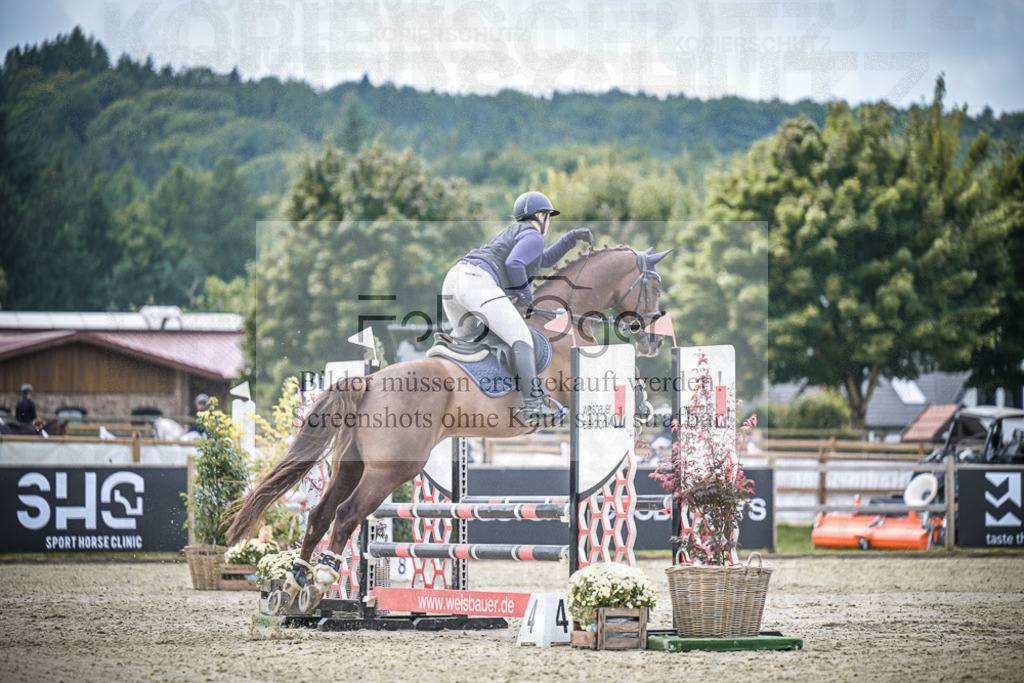 DOS_0568 | Entdecke hochwertige Reitturnierfotos von Foto Oger. Professionell, emotional und authentisch – jetzt Lieblingsmomente im Shop bestellen.Deutschlandweite Turnierfotografie. - Realisiert mit Pictrs.com