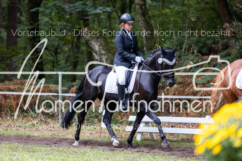 HB-Reiter-WB-047 | MomenTaufnahmen Pferdesportfotos