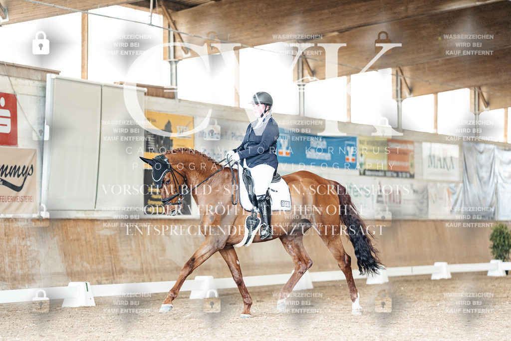 CK901677 | Turnierfotografie Pferdefotografie Trier Rheinland-Pfalz Pferdesport Reitsport Tierfotografie Sportfotografie Pferdevideo Pferdevideografie Equestrianvideography equestrianphotography  - Realisiert mit Pictrs.com