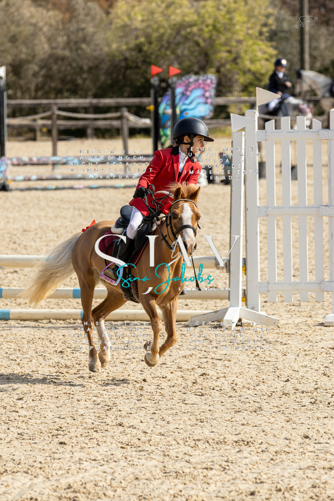 IMG_4355 | s-jay-photography - Realisiert mit Pictrs.com