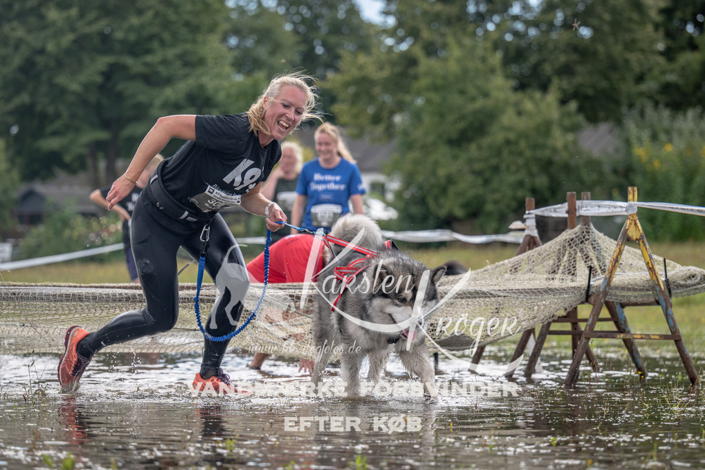 1335_ZZ90278 | kk-dogfotos