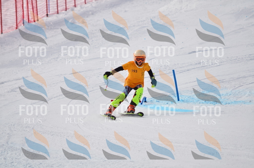 C8073 | holidayphoto