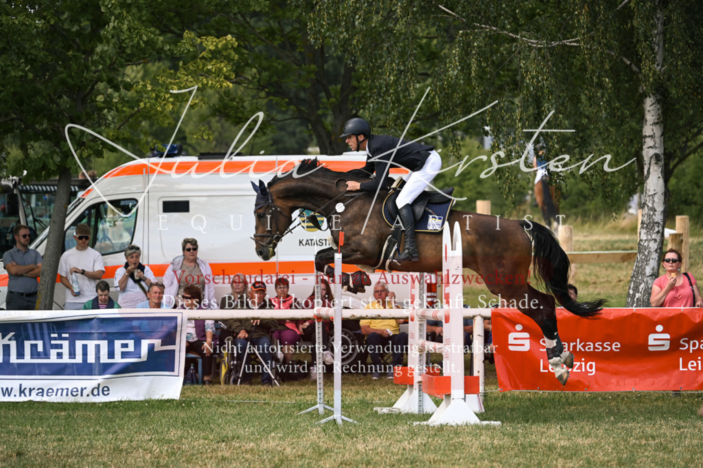 DSC_0837 | Pferde- und Turnierfotografie in Westsachsen. Pferdeportraits, Auftragszeichnungen und intuitive Kunst.