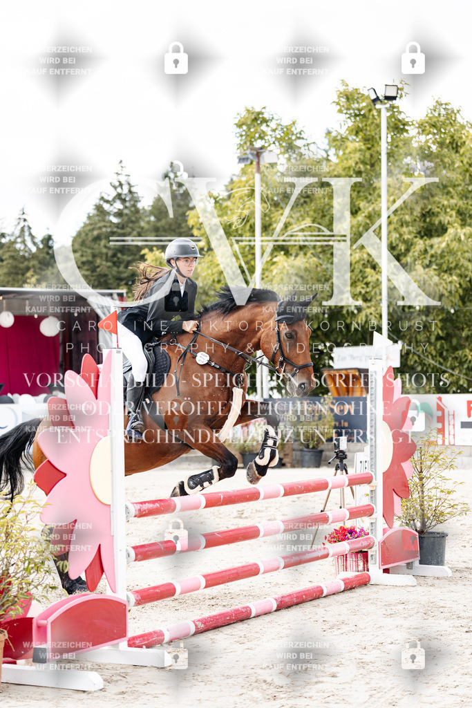 CK902803 | Turnierfotografie Pferdefotografie Trier Rheinland-Pfalz Pferdesport Reitsport Tierfotografie Sportfotografie Pferdevideo Pferdevideografie Equestrianvideography equestrianphotography  - Realisiert mit Pictrs.com
