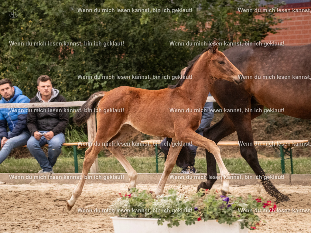 A10I6466 | photographylinaismer - Realisiert mit Pictrs.com