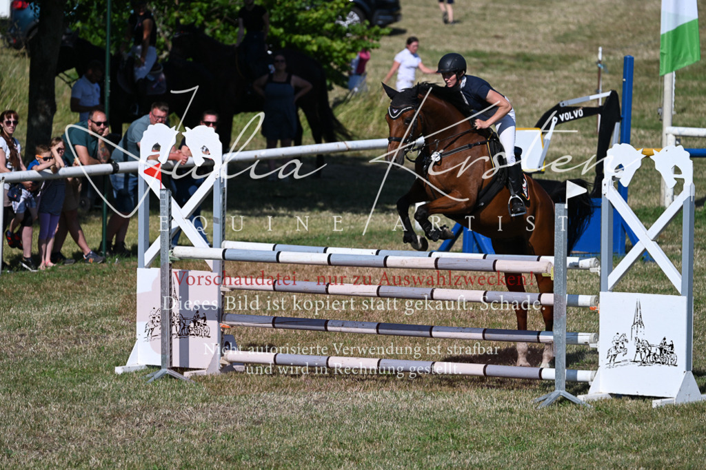 DSC_2216 | Pferde- und Turnierfotografie in Westsachsen. Pferdeportraits, Auftragszeichnungen und intuitive Kunst.