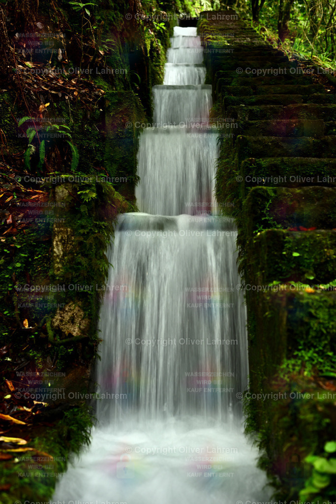 Levada Do Furado  | Das Wasser stürzt an der Levada do Furado im tropischen Wald Madeiras über mehrere Stufen in die Tiefe.