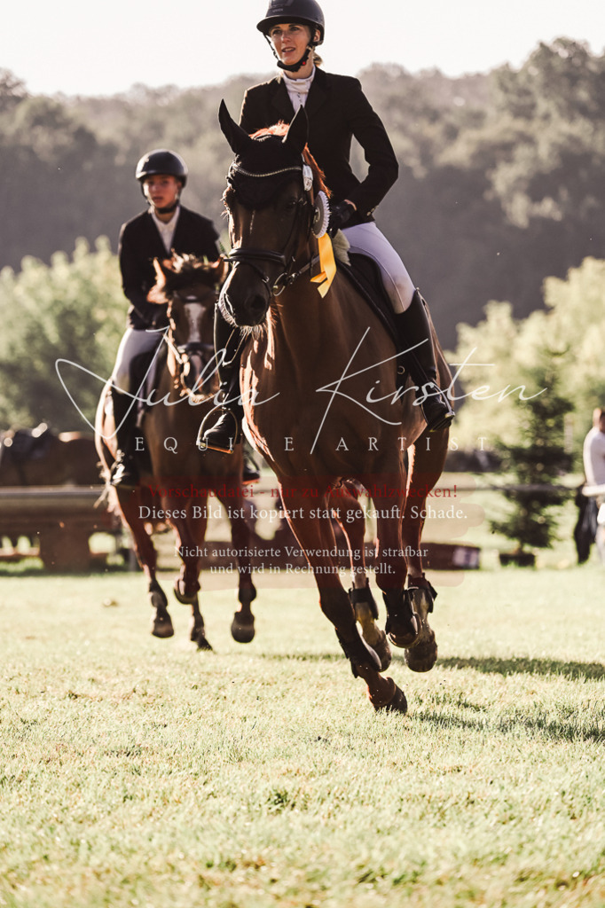 DSC_4577 | Pferde- und Turnierfotografie in Westsachsen. Pferdeportraits, Auftragszeichnungen und intuitive Kunst.