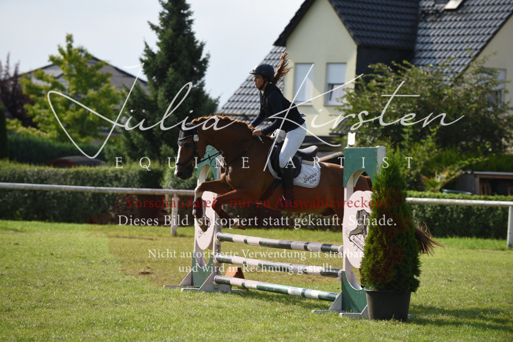 DSC_8914 | Pferde- und Turnierfotografie in Westsachsen. Pferdeportraits, Auftragszeichnungen und intuitive Kunst.