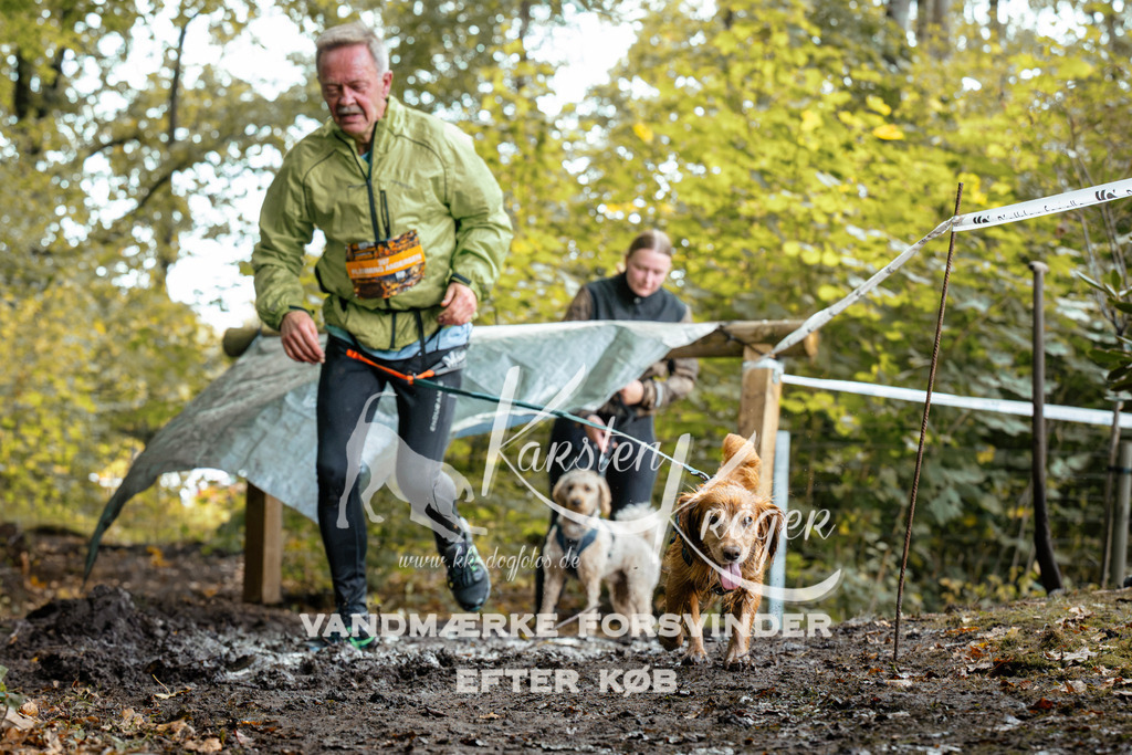 1419DZ6_1588Z6 | kk-dogfotos
