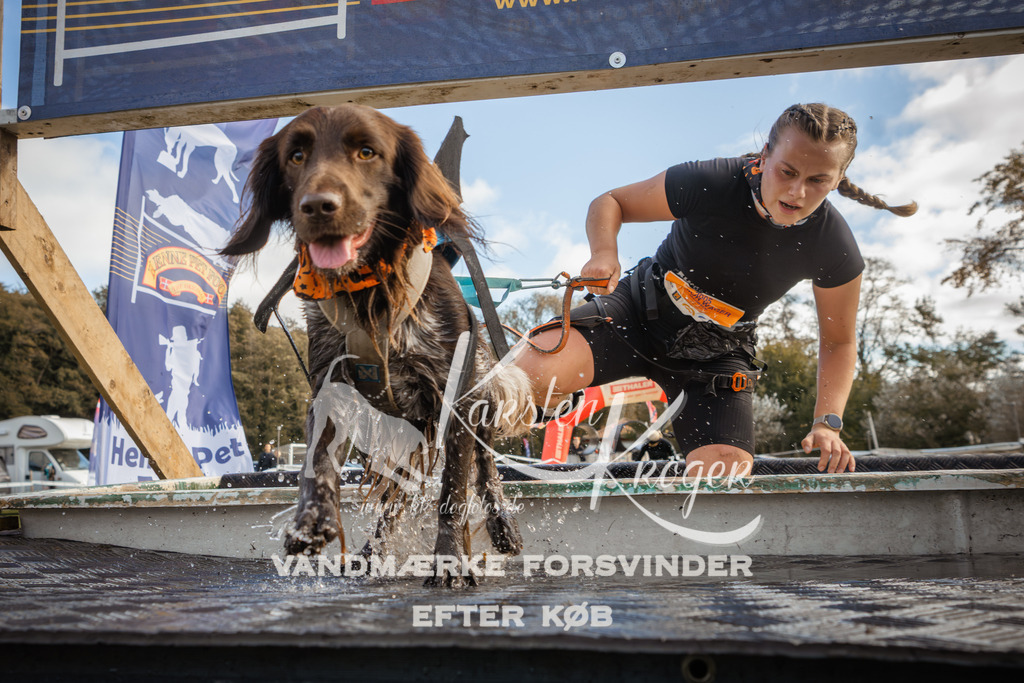 1325_ZZ90718-2 | kk-dogfotos